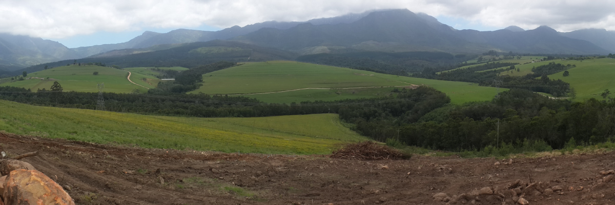 Contact Blue Mountain Berries