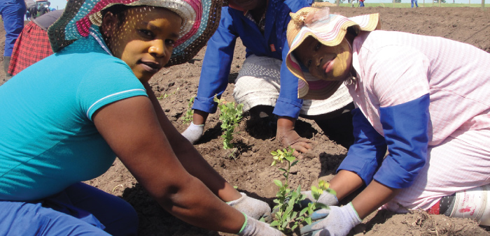 Blue Mountain Berries - Our People
