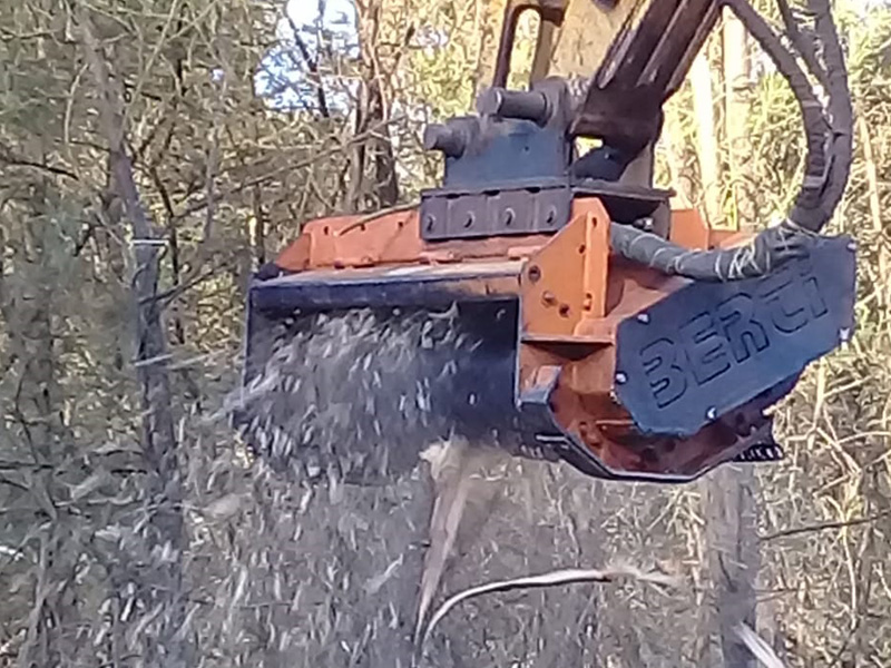 Removal of alien vegetation