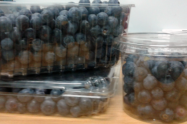 Blue Mountain Berries Projects and Production