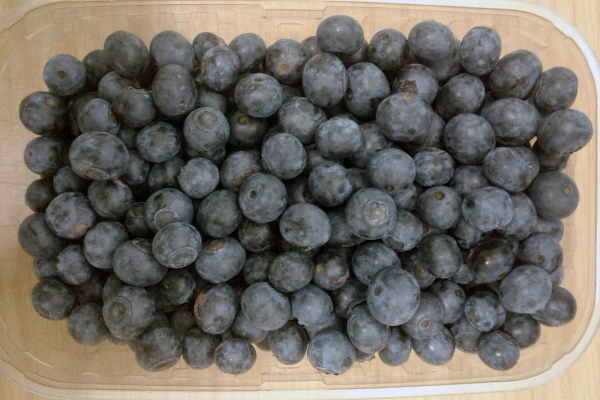 Blue Mountain Berries Projects and Production